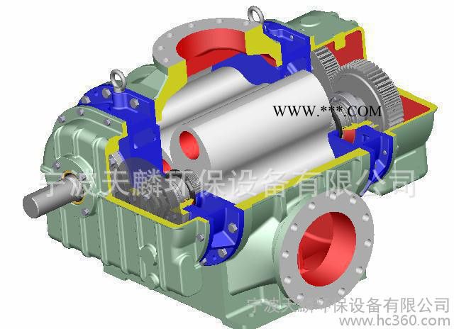 TH-200罗茨鼓风机 水产养殖专用增氧设备 鲁氏高压鼓风机 浙江图2