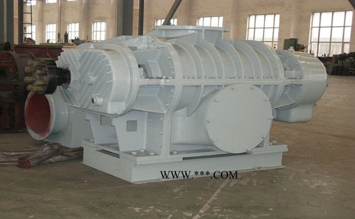 罗茨鼓风机 SZR系列罗茨鼓风机 型号齐全品质卓越图2