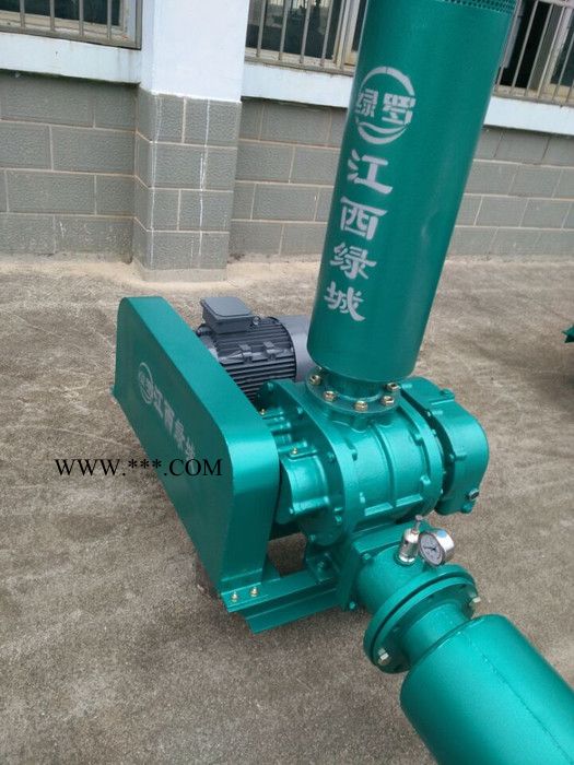 江西罗茨罗茨鼓风机增氧曝气5.5KW鼓风机图2