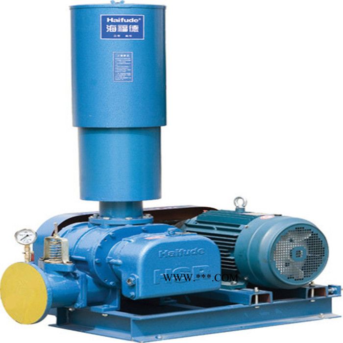 供应HSR罗茨鼓风机图2