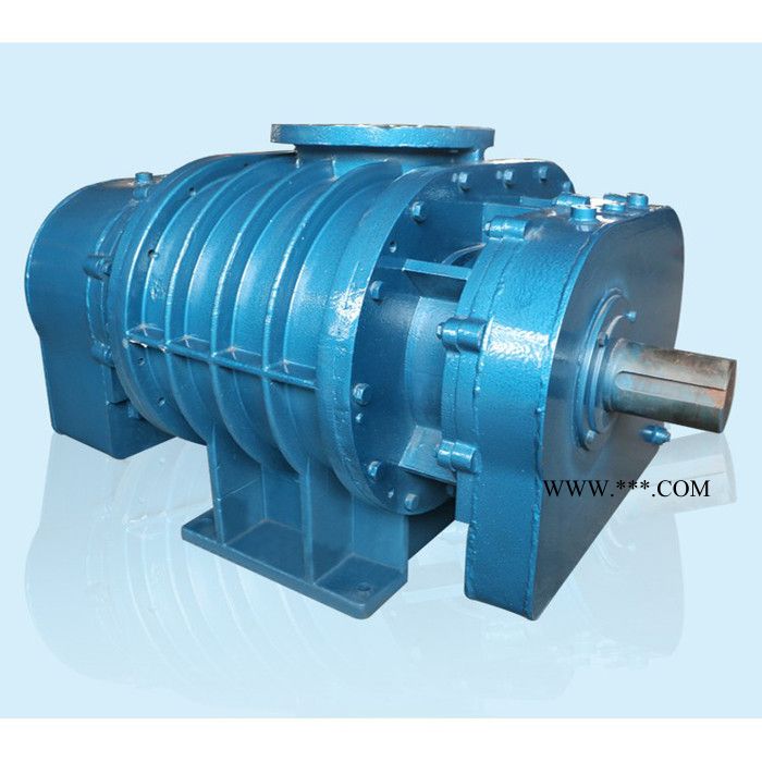 山东大成L系列罗茨鼓风机 罗茨鼓风机 罗茨风机图3