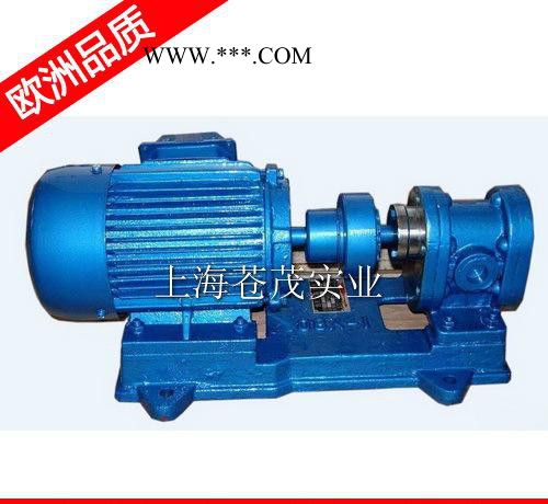 单吸齿轮油泵 低速齿轮油泵 KCB83.3 轻便图3