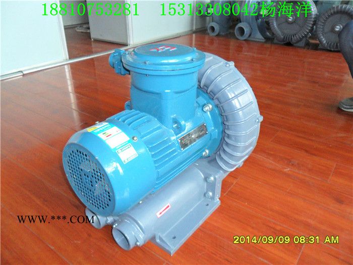 化工厂专用高压防爆鼓风机  煤矿设备专用高压防爆鼓风机 玻璃厂专用高压防爆鼓风机图2