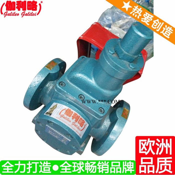 上海圆弧齿轮油泵厂家 ycb齿轮油泵 星陆图1