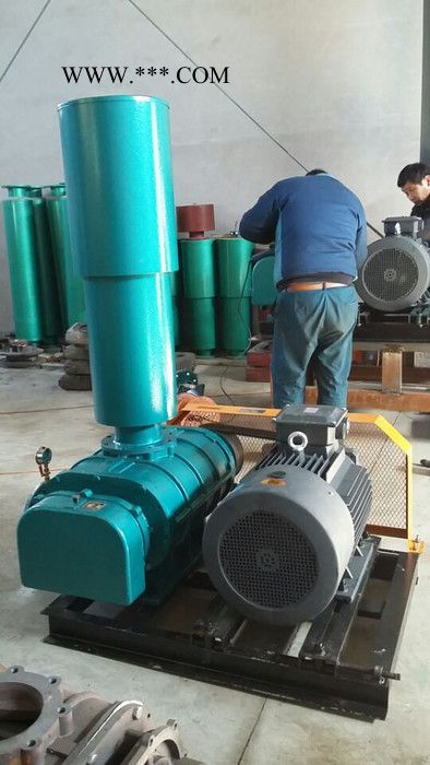 供应密集型罗茨鼓风机，气力输送，管道风机，三叶式鼓风机，罗茨鼓风机图2