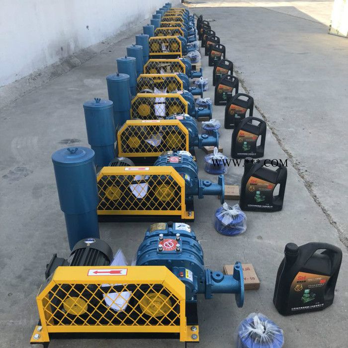 罗茨鼓风机定制图2