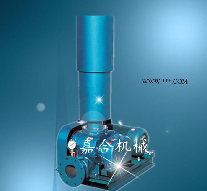 **罗茨鼓风机罗茨风机三叶罗茨鼓风机污水曝气风机图2