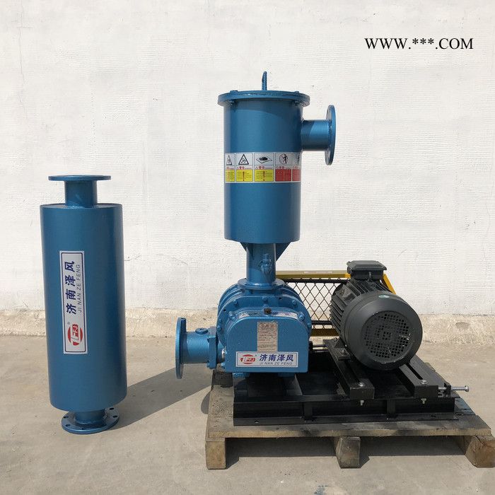 罗茨风机型号价格 鼓风机厂家 专业定制 高压鼓风机图4