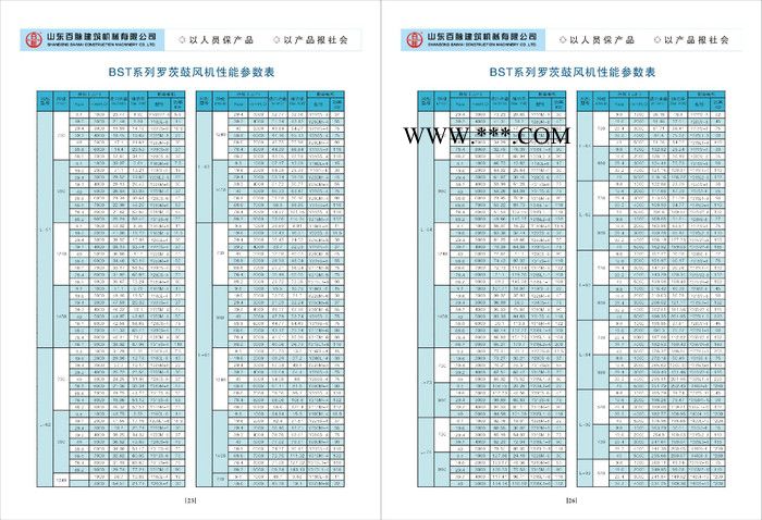 山东百脉鼓风机  罗茨风机  罗茨鼓风机 高压风机图2