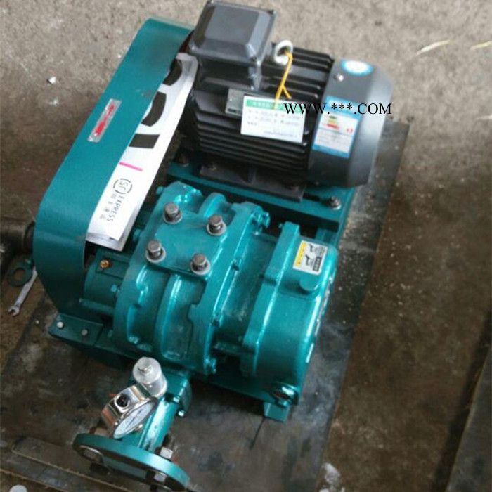 鸿泰华铭XHSR200型鼓风机 专业供应罗茨鼓风机图4