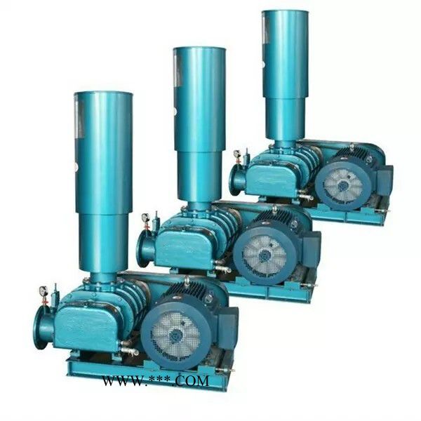 鸿泰华铭XHSR200型鼓风机 专业供应罗茨鼓风机图5