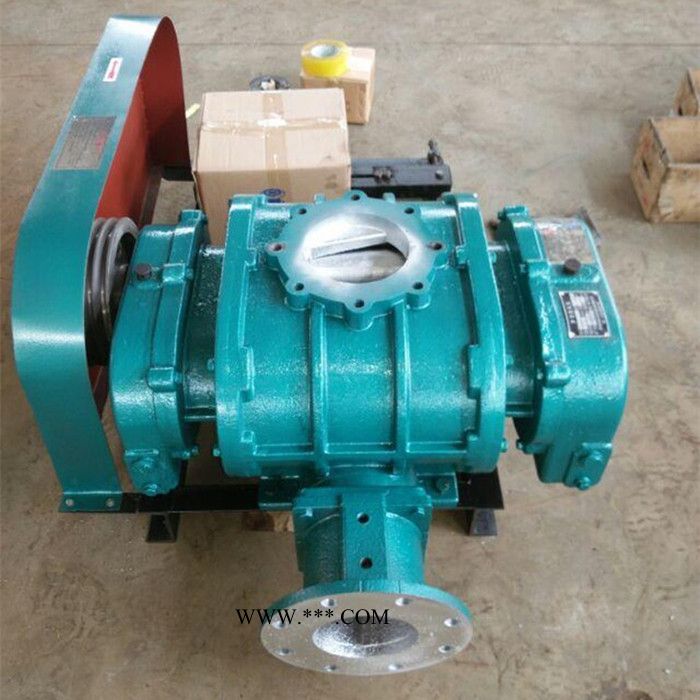 鸿泰华铭XHSR200型鼓风机 专业供应罗茨鼓风机图2