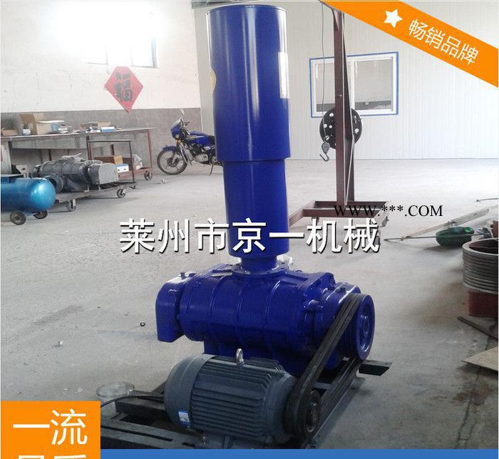 罗茨鼓风机JYFJ-175高压鱼塘曝气风机价格 罗茨鼓风机增图2