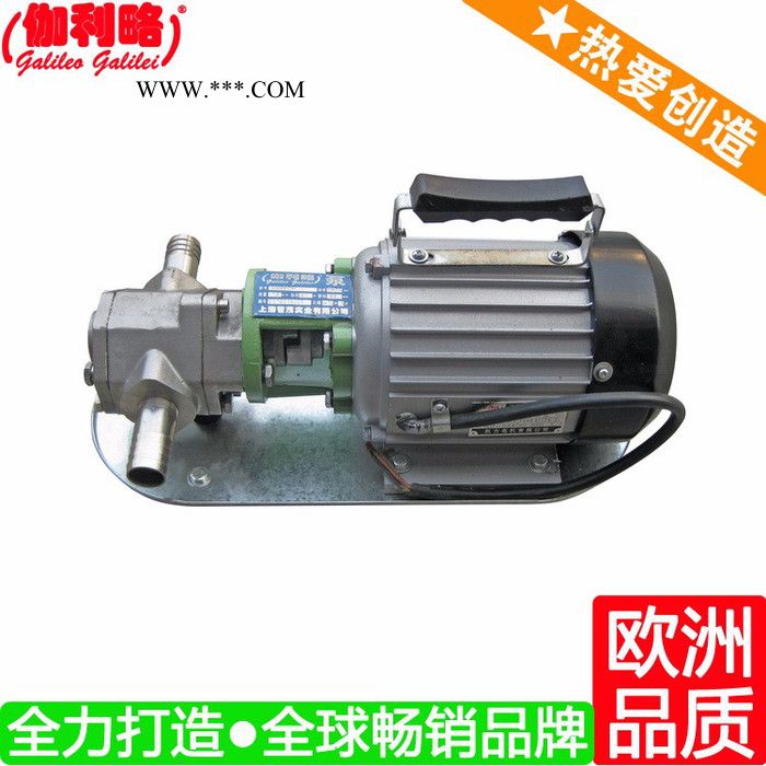 上海手提式齿轮油泵 上海小型齿轮油泵 伽拾图4