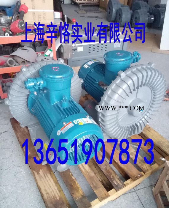 FB-25防爆高压鼓风机 18.5KW防爆鼓风机 18.5K图2