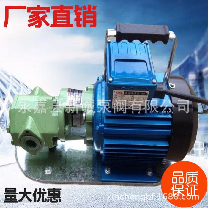 系列齿轮油泵手提式齿轮式输油泵齿轮泵图3