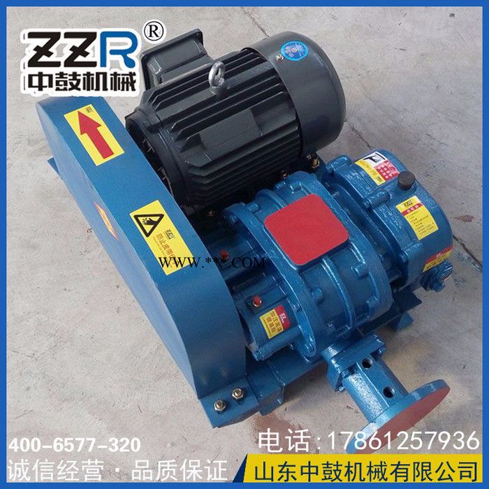 中鼓ZZR 罗茨鼓风机图3