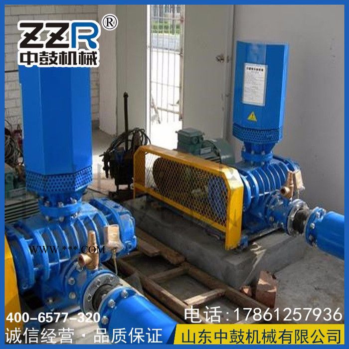 中鼓ZZR 罗茨鼓风机图2