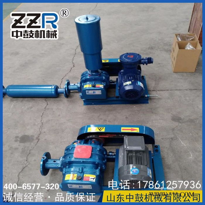 中鼓ZZR 罗茨鼓风机图4