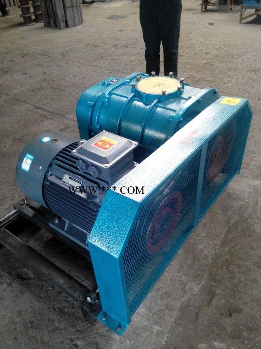 供应电厂脱硫脱硝罗茨鼓风机鼓风机 运行稳定 **图5