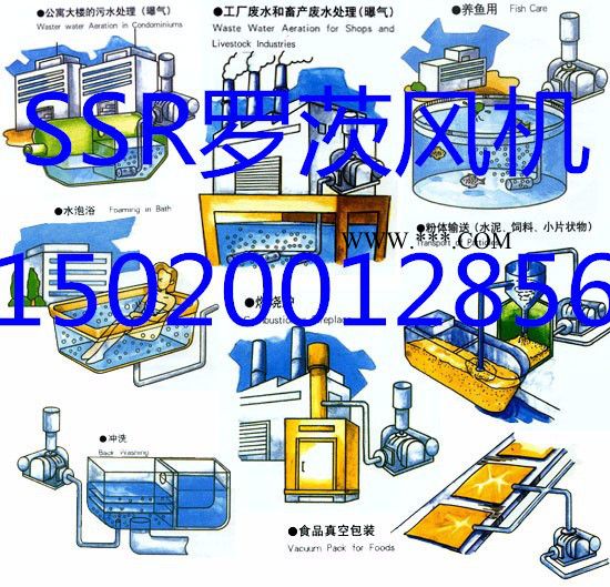 供应三叶罗茨鼓风机价格三叶罗茨风机罗茨鼓风机图2