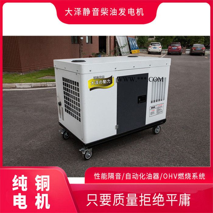 大泽动力30KW柴油发电机油耗图5