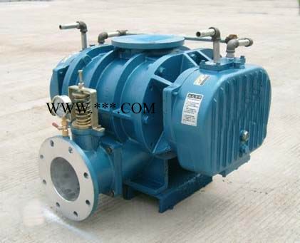 厂家销售  专用罗茨鼓风机,三叶罗茨鼓风机图3