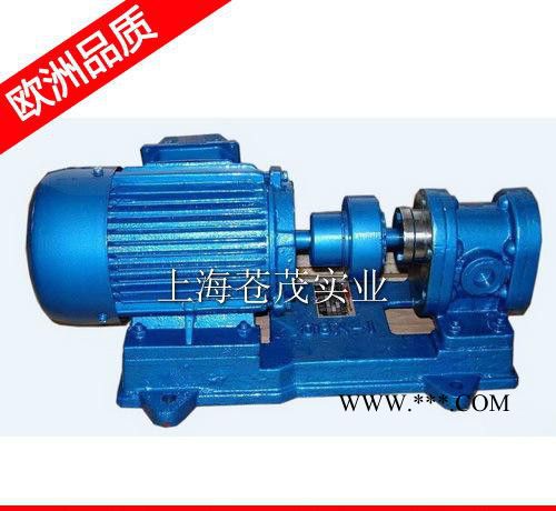 柴油齿轮泵 柴油齿轮油泵 KCB300 良品图2