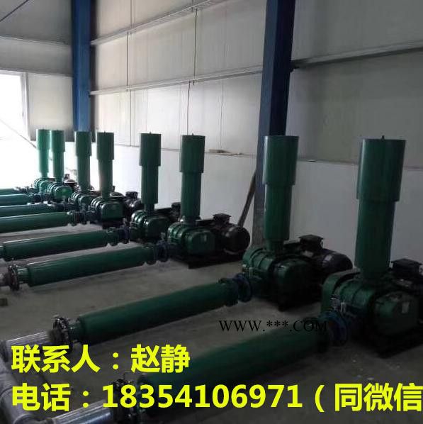 14.7kpa鼓风机/14.7kpa罗茨鼓风机-山东鑫瑞拓RTSR图4