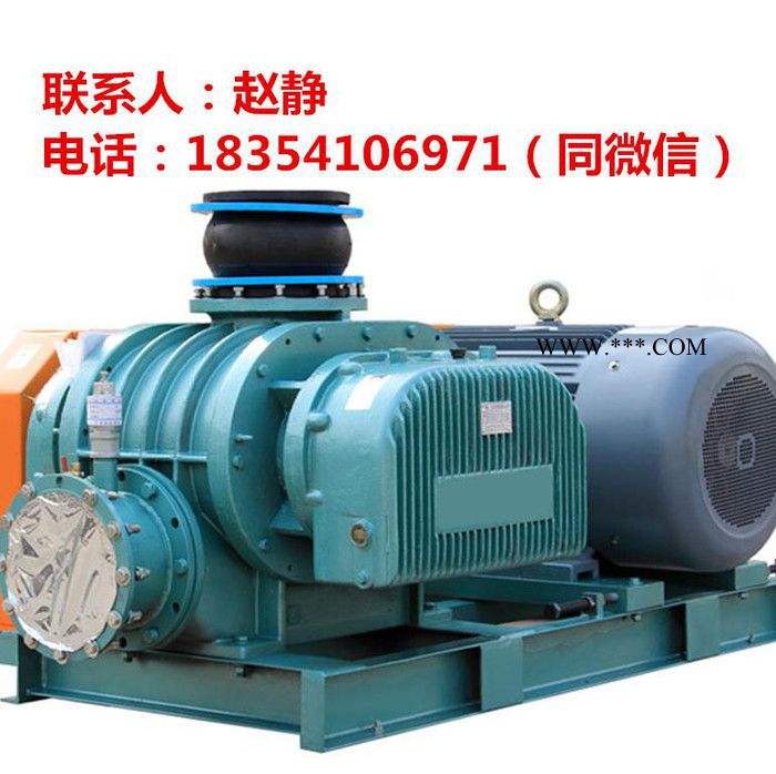 14.7kpa鼓风机/14.7kpa罗茨鼓风机-山东鑫瑞拓RTSR图3