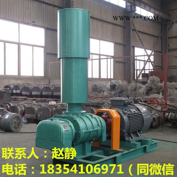 14.7kpa鼓风机/14.7kpa罗茨鼓风机-山东鑫瑞拓RTSR图6