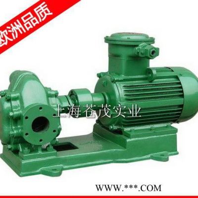 润滑油齿轮泵 三联齿轮油泵 KCB-200 轻便