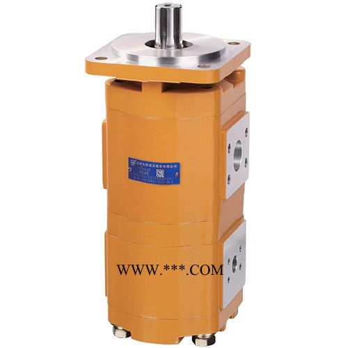 供应合肥长源品牌CBKP100/63/50-BF非开挖钻机齿轮泵 齿轮泵 齿轮油泵,齿轮马达,液压阀,液压油缸,液压元件图2