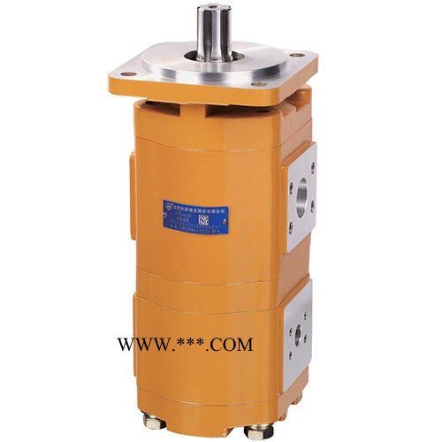 供应合肥长源品牌CBKP100/63/50-BF非开挖钻机齿轮泵 齿轮泵 齿轮油泵,齿轮马达,液压阀,液压油缸,液压元件图3