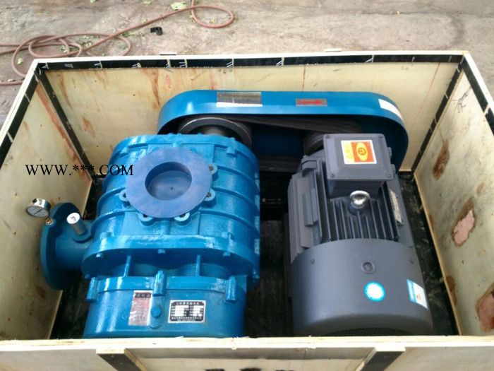 德安DASR50#鼓风机图2