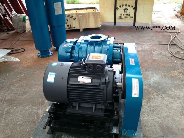 德安DASR50#鼓风机图5