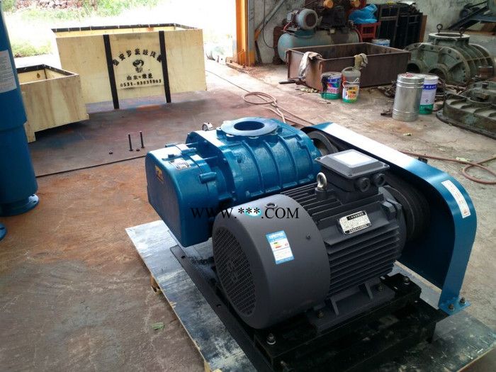 德安DASR50#鼓风机图6