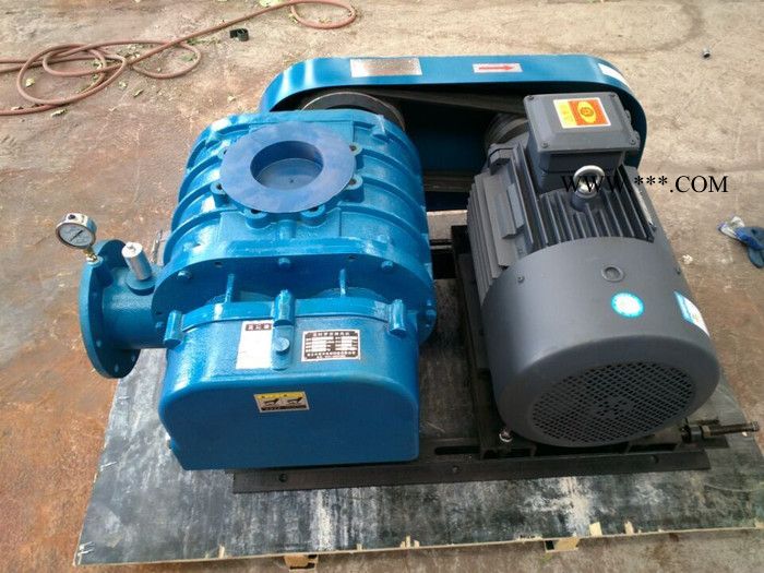 德安DASR50#鼓风机图4