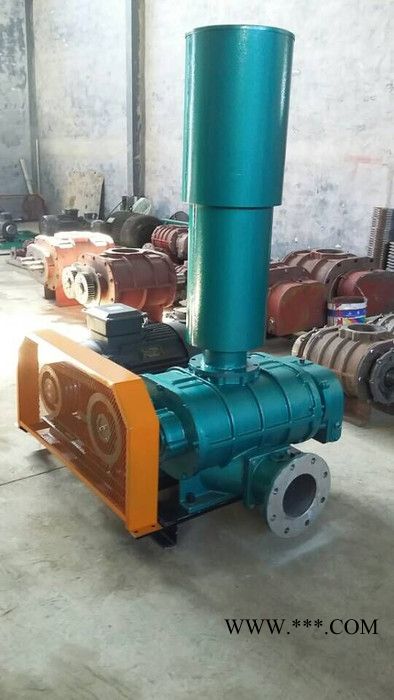 专卖厂家三叶罗茨鼓风机，恒硕牌防腐风机曝气设备三叶罗茨鼓风机图2