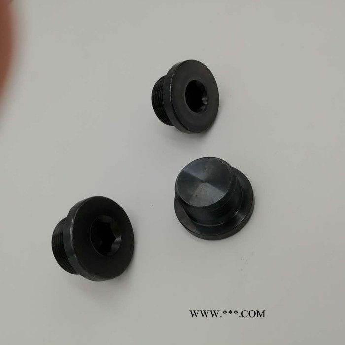 内六角标准油塞 减速机油塞 内六角堵塞 油箱放置油塞图2