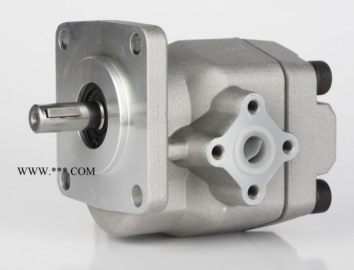 【专业认证】KCB-18.3型不锈钢保温齿轮油泵 欣阳泵业图3