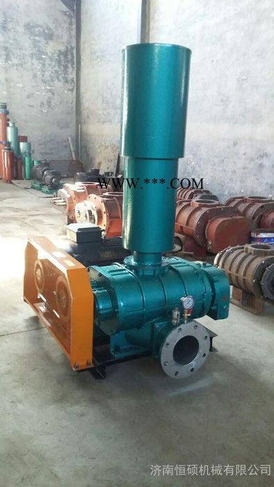 三叶罗茨鼓风机保养,三叶罗茨鼓风机使用说明,恒硕机械。图2