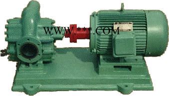 丹东 CH/CHY/CHW 齿轮油泵 价格电询图2