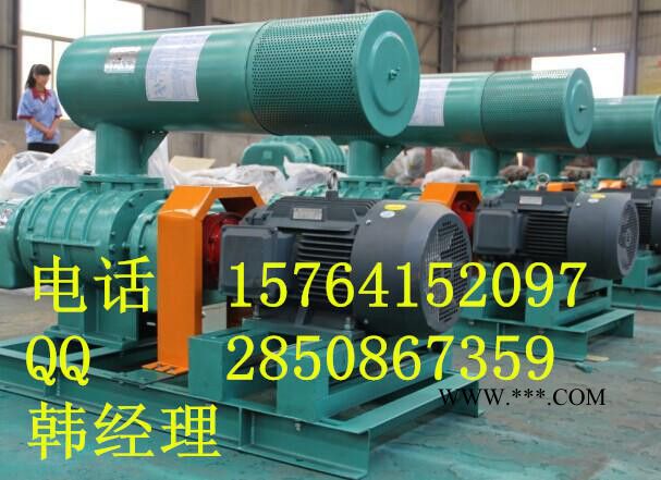 密集风机,密集鼓风机,密集罗茨风机图2