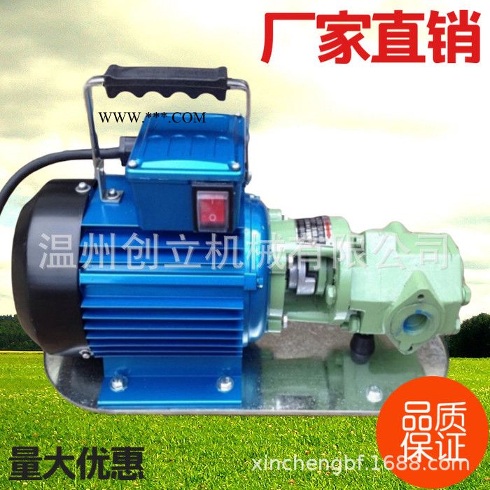 （厂价直销）型齿轮式输油泵、手提式齿轮油泵便携式抽油泵图3