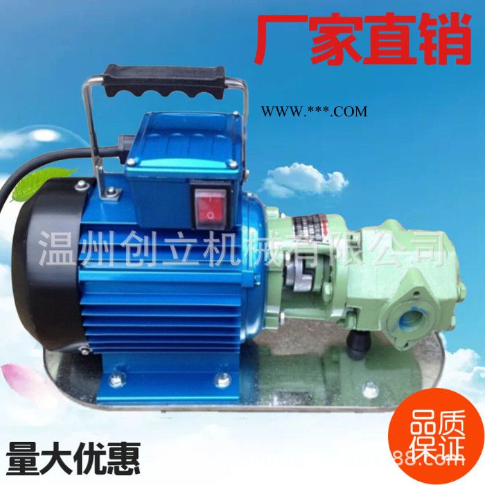 （厂价直销）型齿轮式输油泵、手提式齿轮油泵便携式抽油泵图2