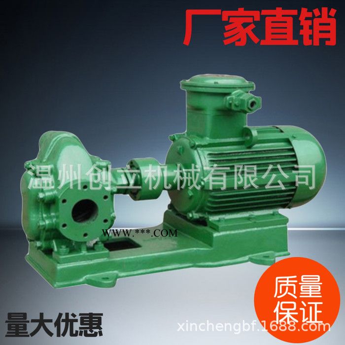 生产销售型齿轮油泵质量保证量大优惠图2