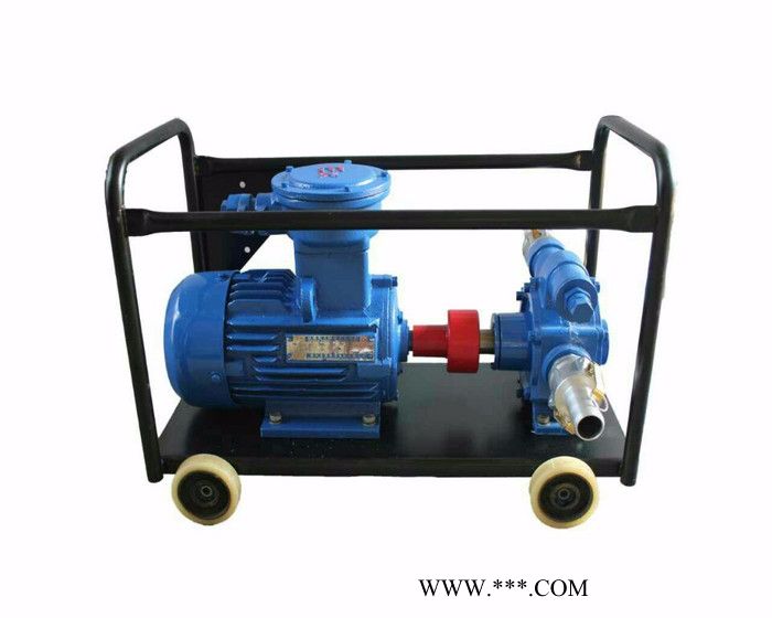 供应齿轮泵 上海开力制泵 不锈钢齿轮泵  齿轮油泵图7