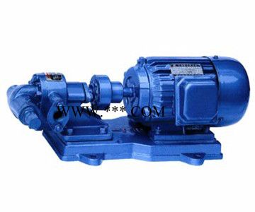 供应齿轮泵 上海开力制泵 不锈钢齿轮泵  齿轮油泵图6