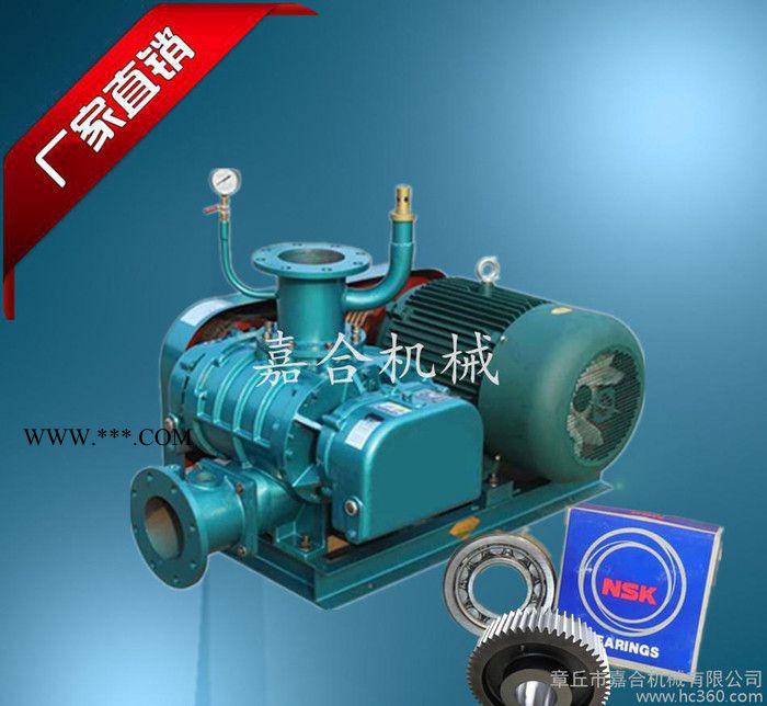 生产销售200罗茨鼓风机低噪音持久耐用节能降耗罗茨鼓风机图3